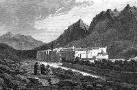 Mount Sinai in the Crosshairs