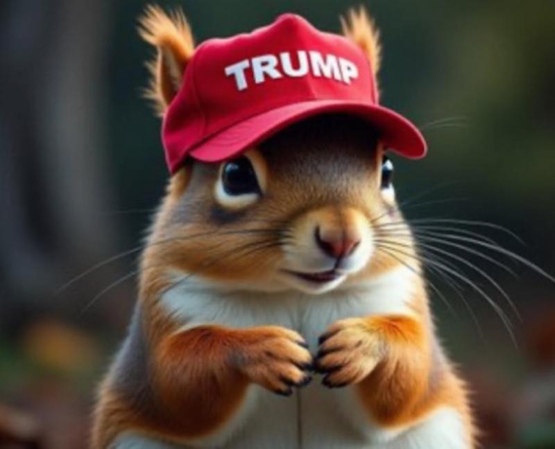 NextImg:To kill a mockingbird…and a squirrel, too