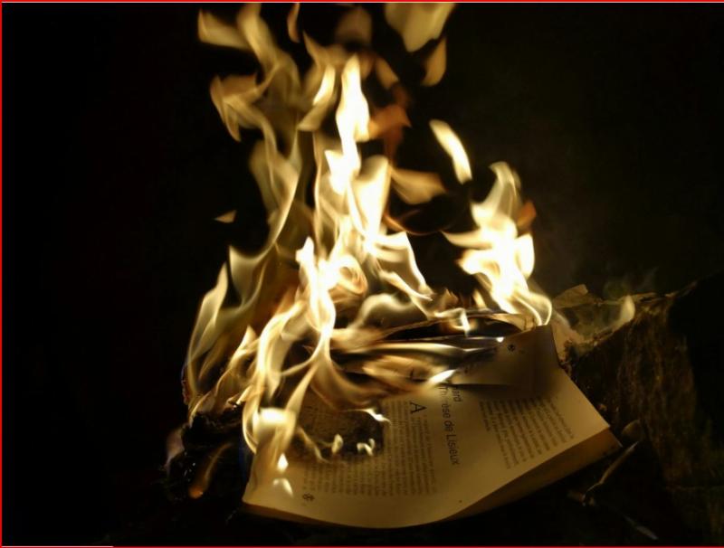 NextImg:Man in France imprisoned for burning a Quran