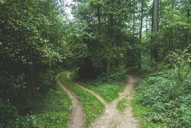 NextImg:The road not taken