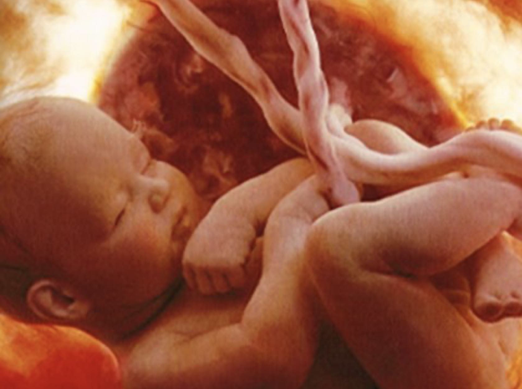 Prenatal Lives Count … At Least Sometimes