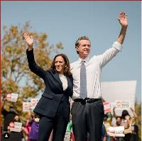 Gavin and Kamala plot to switch offices, convinced voters can't get enough of them, legislator says