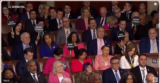 Musk Steals and other signs held by Democrats at Trump's joint address to Congress