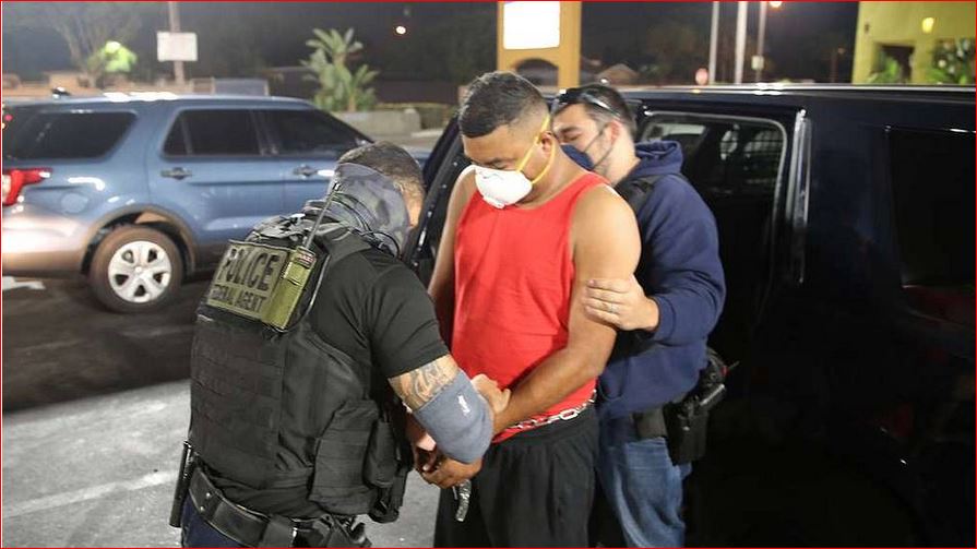 The unbounded arrogance of America’s illegal aliens and their allies
