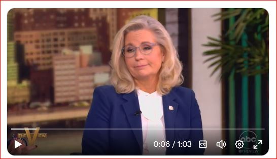 Kiss of Death: Liz Cheney cost Kamala Harris Pennsylvania -study