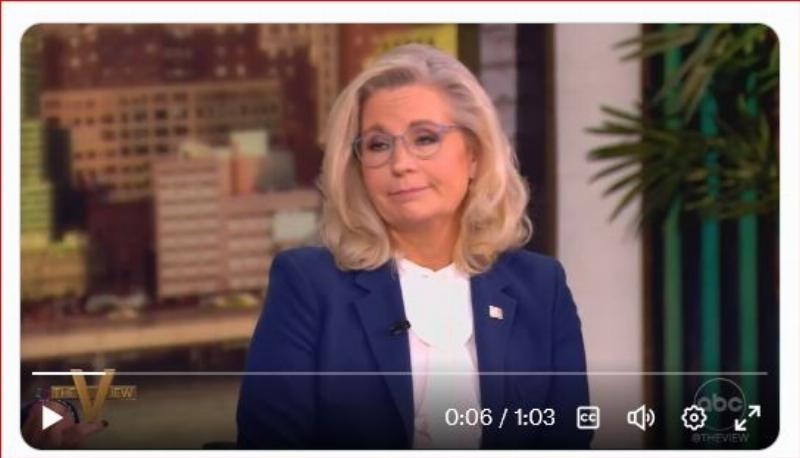 NextImg:Kiss of Death: Liz Cheney cost Kamala Harris Pennsylvania -study