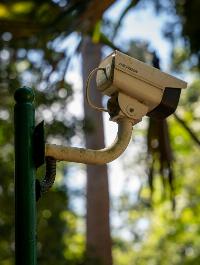 Senate Bill 1462: Putting Alexa in the Woods