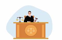 Lawyers gone wild