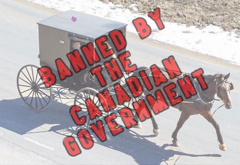 NextImg:Canada is fining the Amish $300,000 for not downloading a COVID app