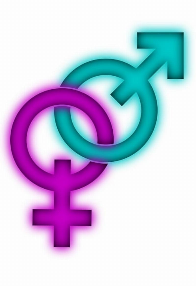NextImg:‘Transing’ one’s gender