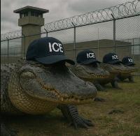 The absolute genius of Florida’s ‘Alligator Alcatraz’