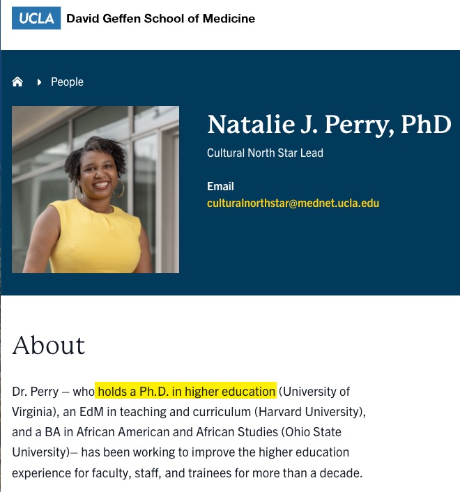 Another day and another plagiarism story out of academia