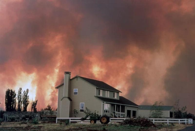 NextImg:Surviving a House Fire