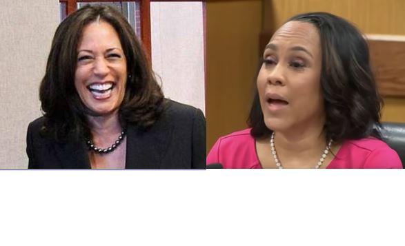 Oh, to be a fly on the wall when Fani Willis met Kamala Harris ...