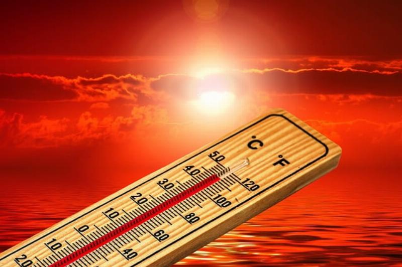 NextImg:The 2050 Net Zero Climate Scam