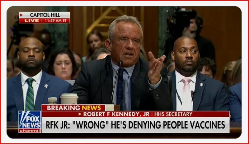 NextImg:Democrats thoroughly and comically embarrassed themselves in their quest to 'gotcha' RFK Jr.