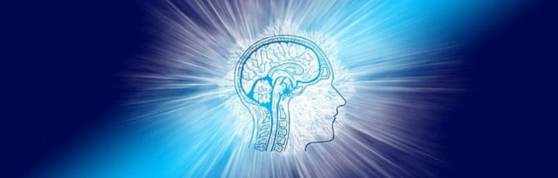 NextImg:Innovation creates gaps—and markets close them