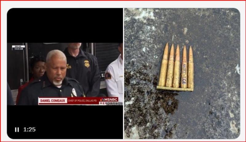 NextImg:Anti-ICE protester murders two illegal aliens in Dallas