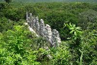 Lost Causes: A Spy Thriller for the Unwoke