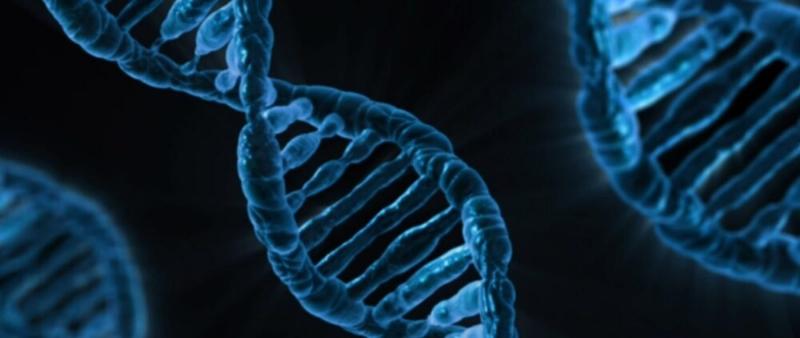 NextImg:The Return of Eugenics