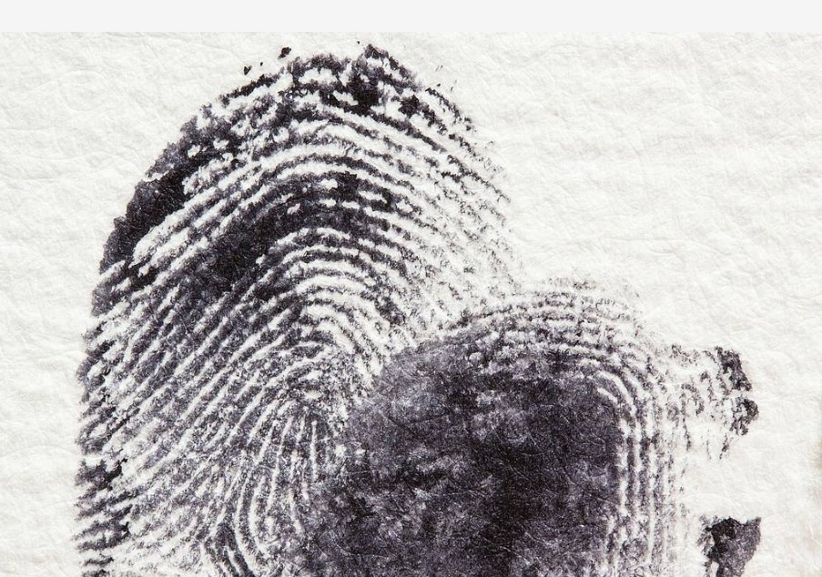 Built In Bias: The Human Fingerprints on Artificial Intelligence