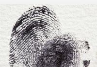 Built In Bias: The Human Fingerprints on Artificial Intelligence