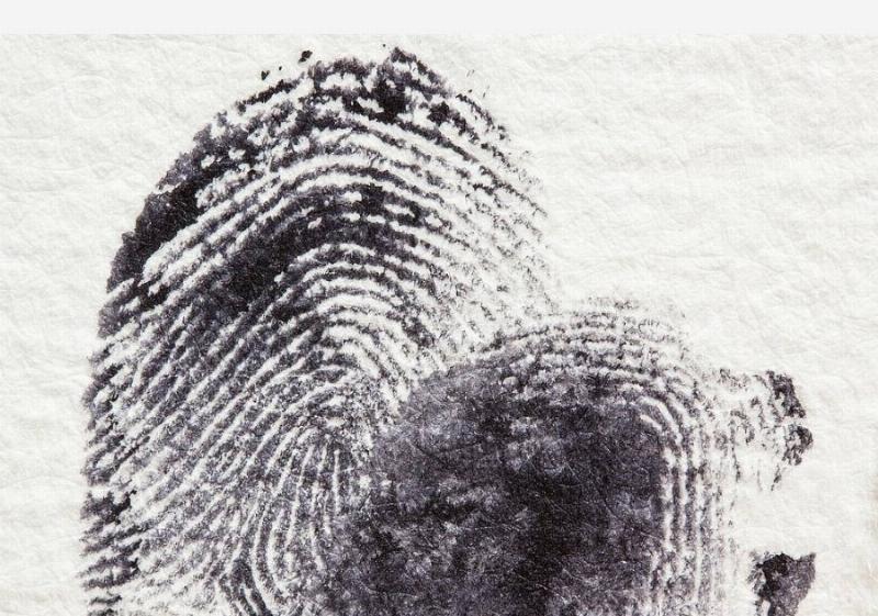 NextImg:Built In Bias: The Human Fingerprints on Artificial Intelligence