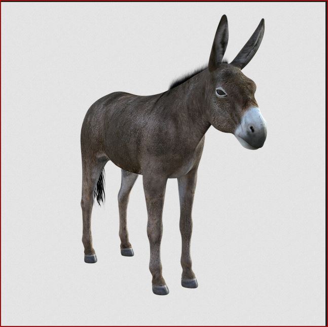 What does it mean to be a Democrat today?