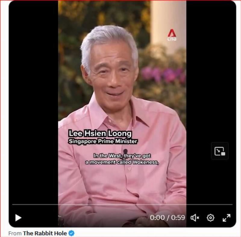 NextImg:Singapore's prime minister emeritus stares at 'woke' concepts in America, utterly stupefied at its idiocy