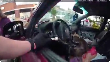 I’ve heard of ‘stool pigeons,’ but this may be the first ‘stool raccoon’