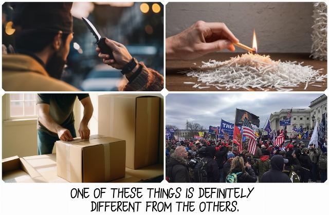 Collage made using https://commons.wikimedia.org/wiki/File:DC_Capitol_Storming_IMG_7948.jpg