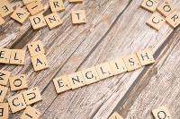 The left’s annoying war on English speech just got voted down