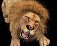 Israel’s Rising Lion is a model for the U.S.