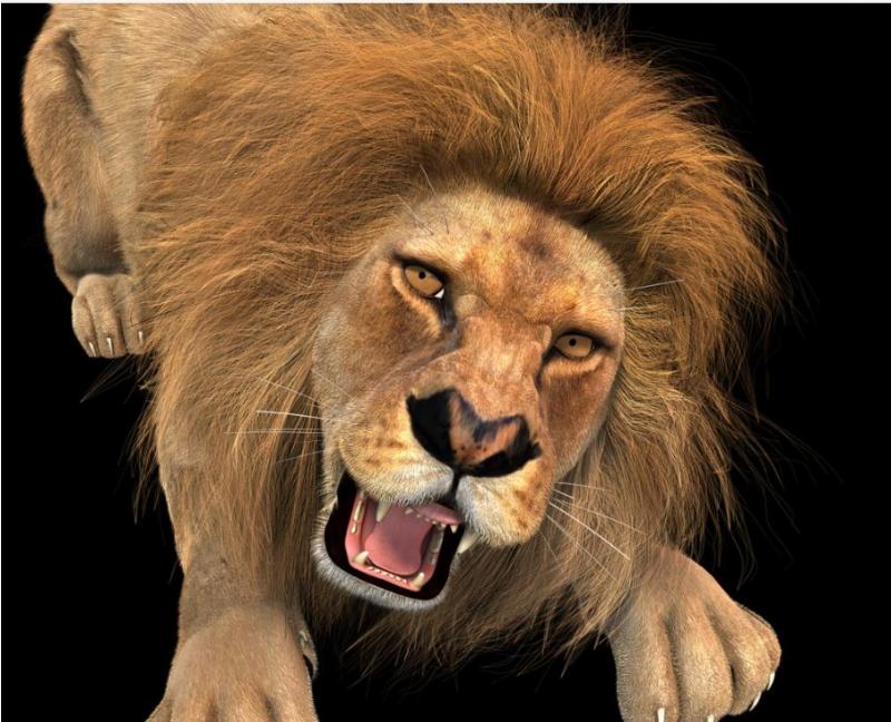 NextImg:Israel’s Rising Lion is a model for the U.S.
