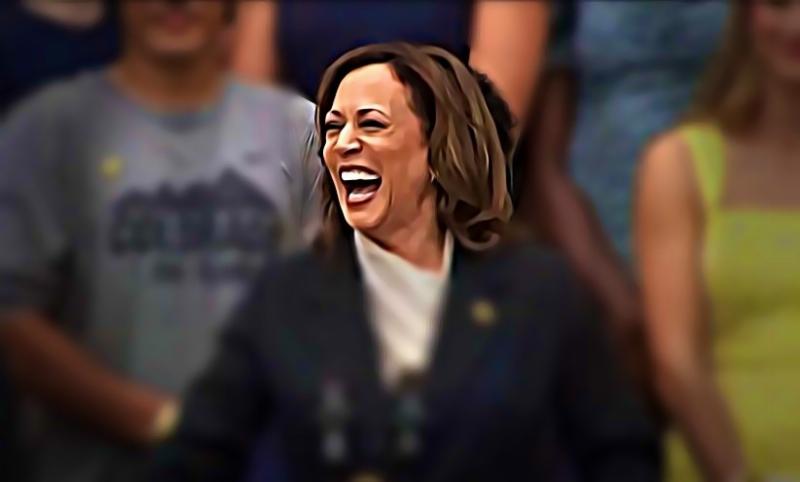 NextImg:Kamala’s elevation is a sign of Democrats’ desperation