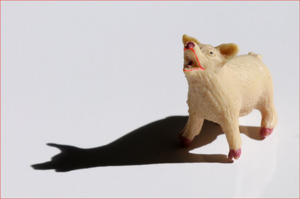 Democrats put lipstick on a pig