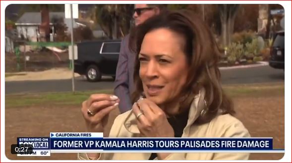 California's voters get a whiff of Kamala's brain on fire
