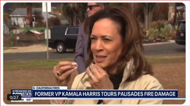NextImg:California's voters get a whiff of Kamala's brain on fire