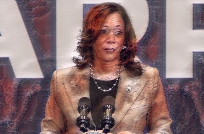 NextImg:Kamala’s supporters: Are these people crazy?