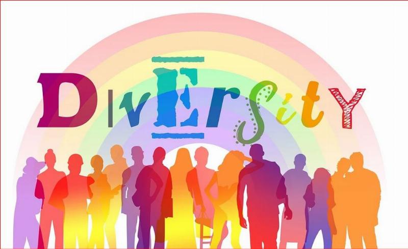 NextImg:Diversity?