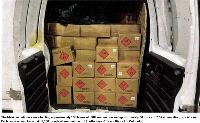 Mexican ammo wranglers