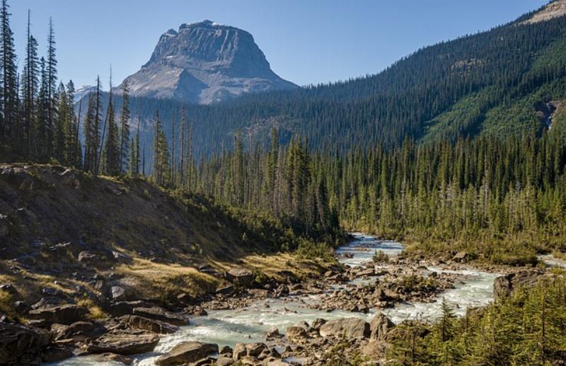 NextImg:America’s federal lands were set to be listed on the stock exchange before the proposed rule was yanked