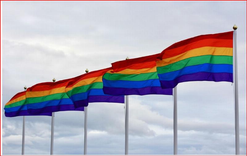 NextImg:How about two Pride! months instead of one?