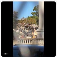 Democrats have a cow over Trump's construction of a new White House ballroom