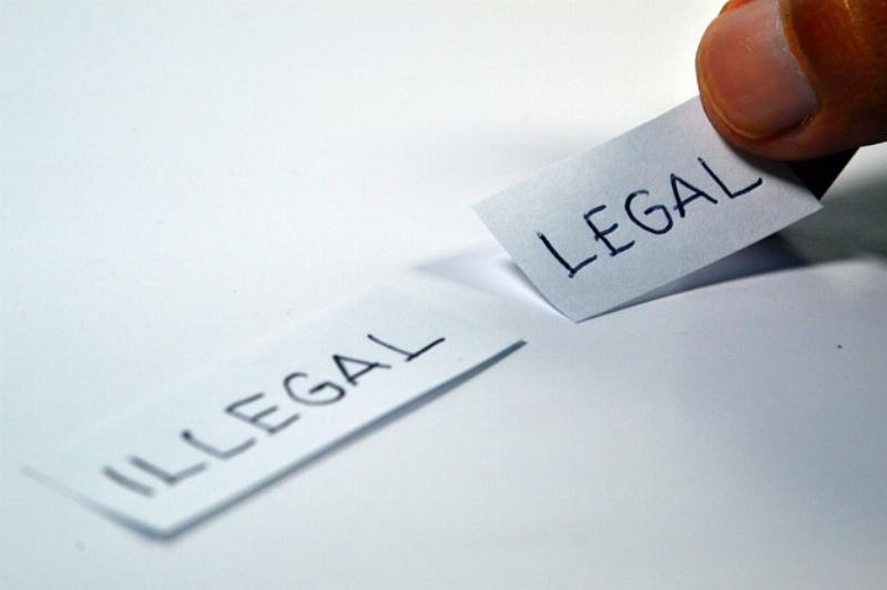 NextImg:2024: 1,100 anchor babies born every day in US