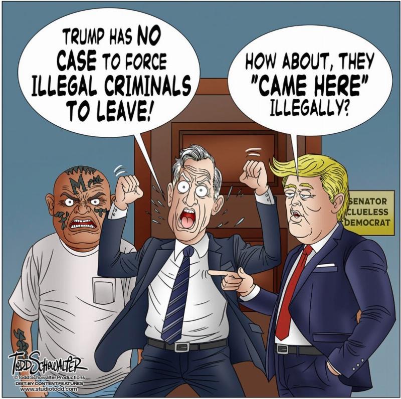 Main Image: Cartoon