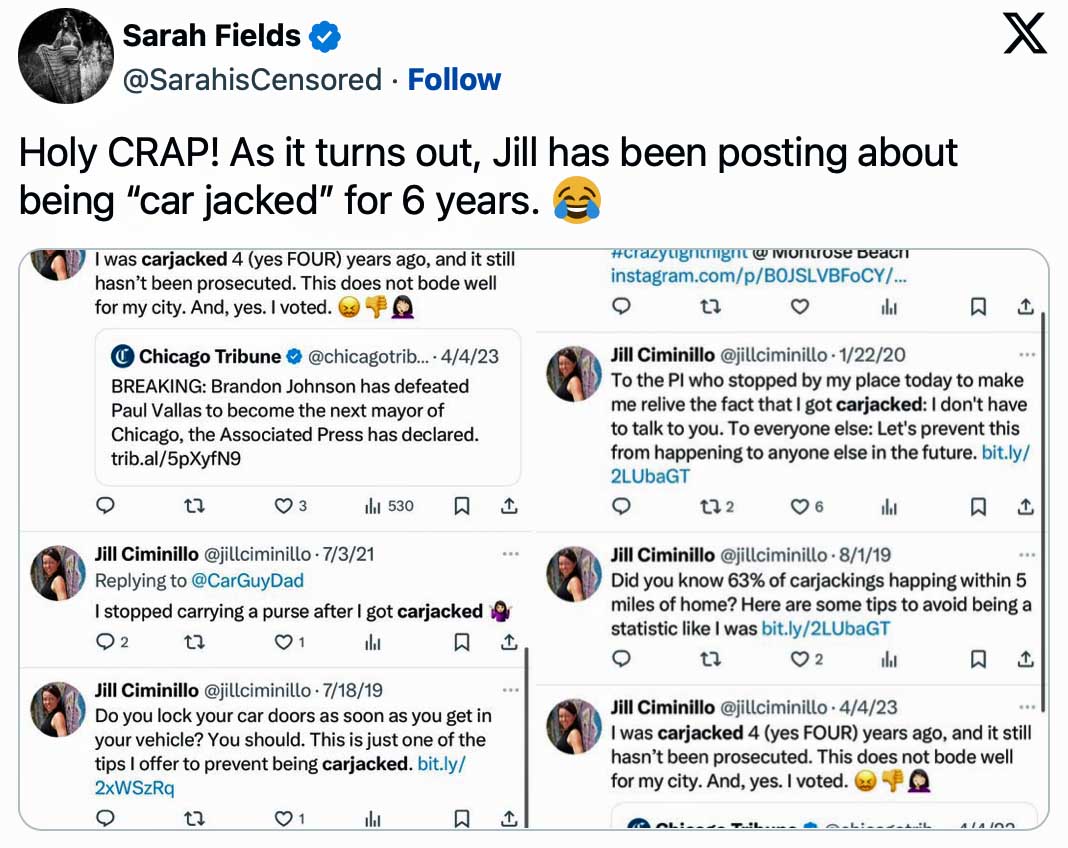 Chicago woman: living in TDS wonderland