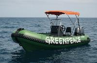 The SS Greenpeace is harpooned at last