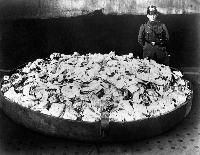 Germany’s Fiscal Suicide