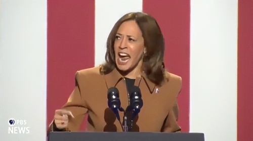 It’s A 'Self Own' Mistake For The Democrats To Keep Yelling ‘Fascist’